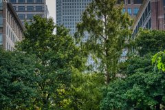 @brilinfocus__20250906_13London