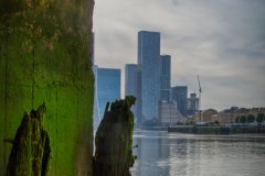 @brilinfocus__20250906_61London