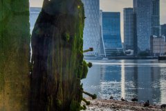 @brilinfocus__20250906_64London