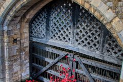 @brilinfocus__20250907_24London