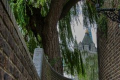 @brilinfocus__20250907_68London