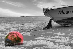 EdwinBril2025050702_1