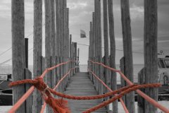 EdwinBril2025050704_1